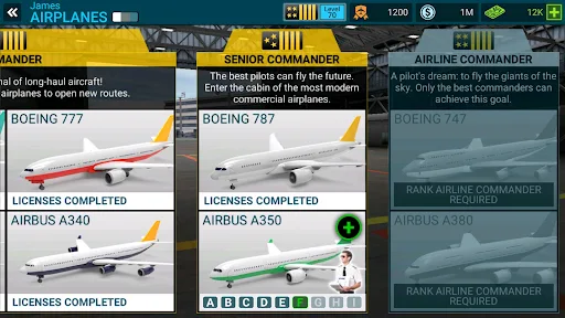 Airline Commander