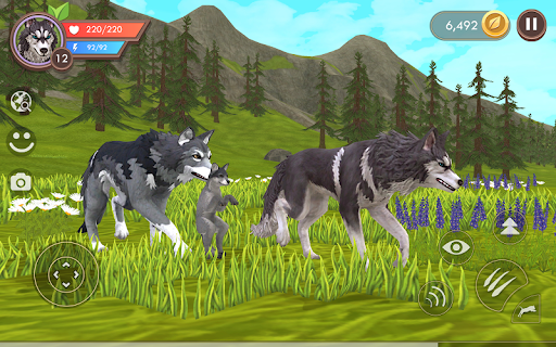 WildCraft Mod
