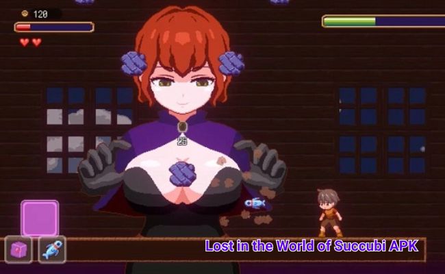 Lost in the World of Succubi