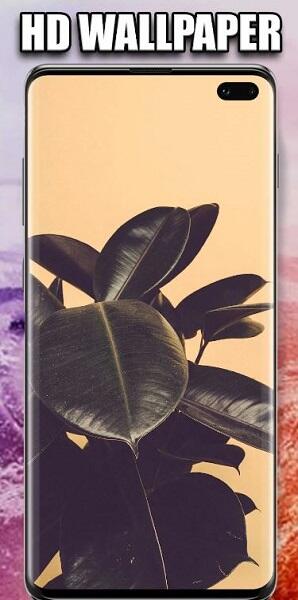Vellum Wallpapers