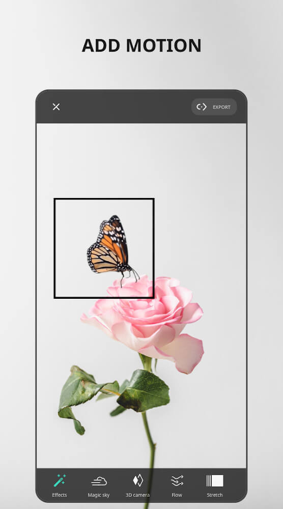 VIMAGE