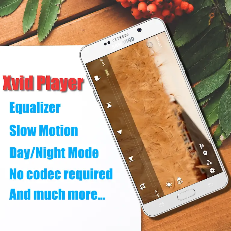 Xvid Video Codec Player 1.0.4