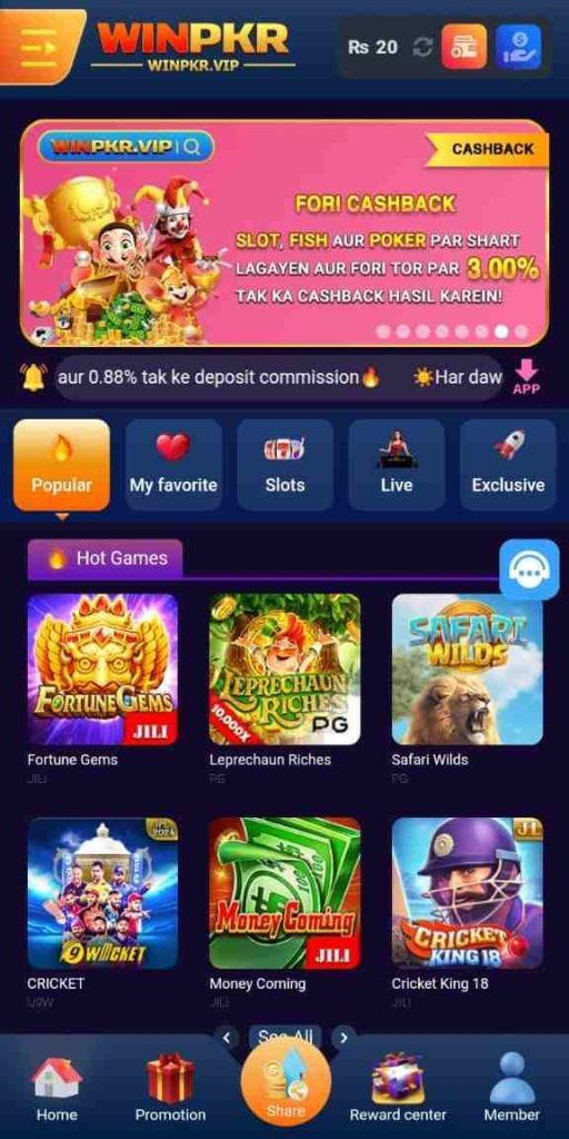 WINPKR APK