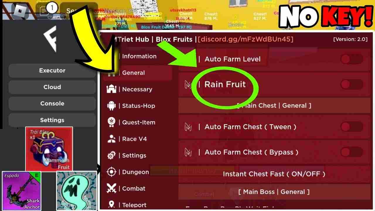 Blox Fruits Script Mobile