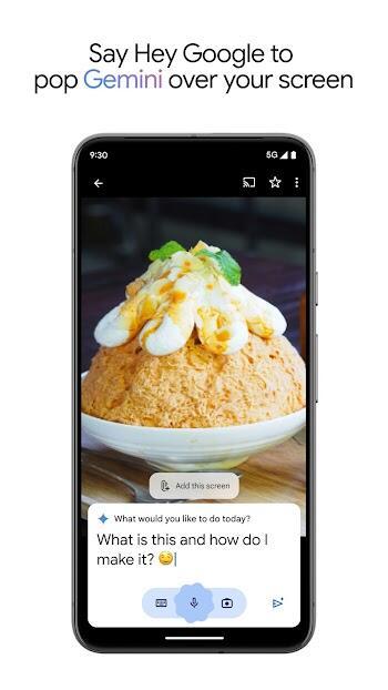 Google Gemini FREE apk