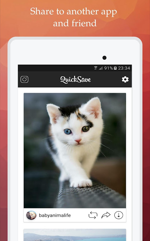 InstaSave for Instagram apk