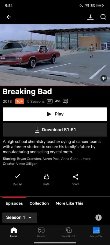 Netflix Mod
