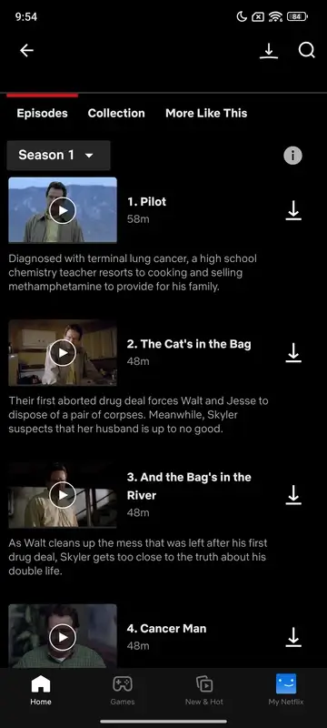 Netflix Mod