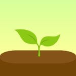 Forest Premium APK