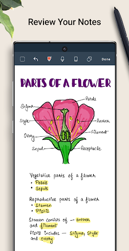 Noteshelf