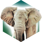 Ark Nova APK