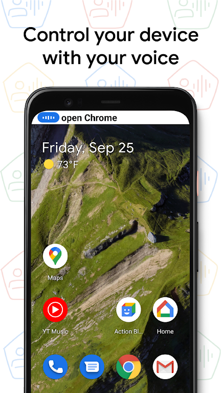 Voice Access apk