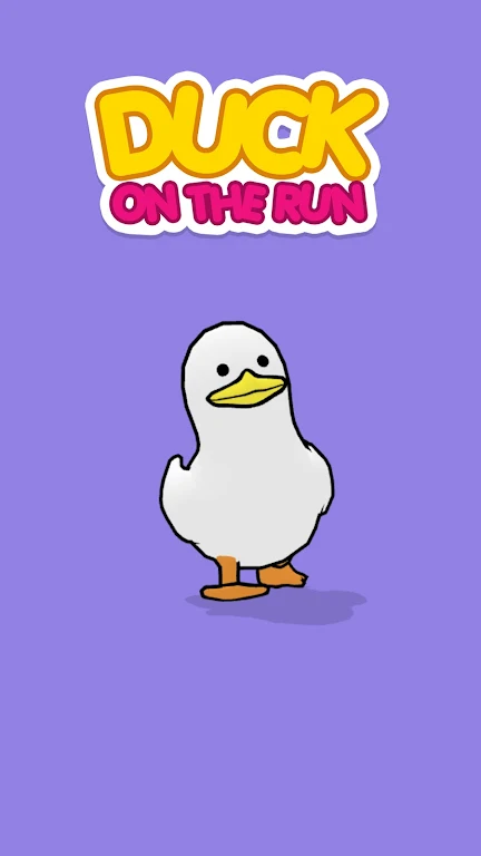 Duck On The Run