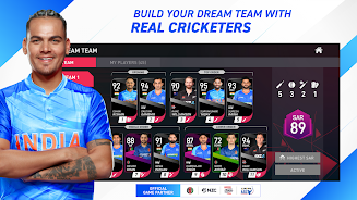 Dream Cricket 2025 apk