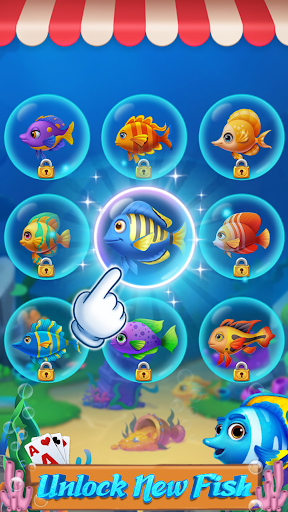 Island Cards