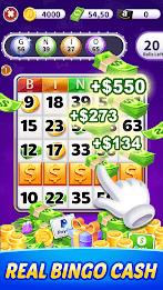 Money Bingo Clash - Win Cash Online apk