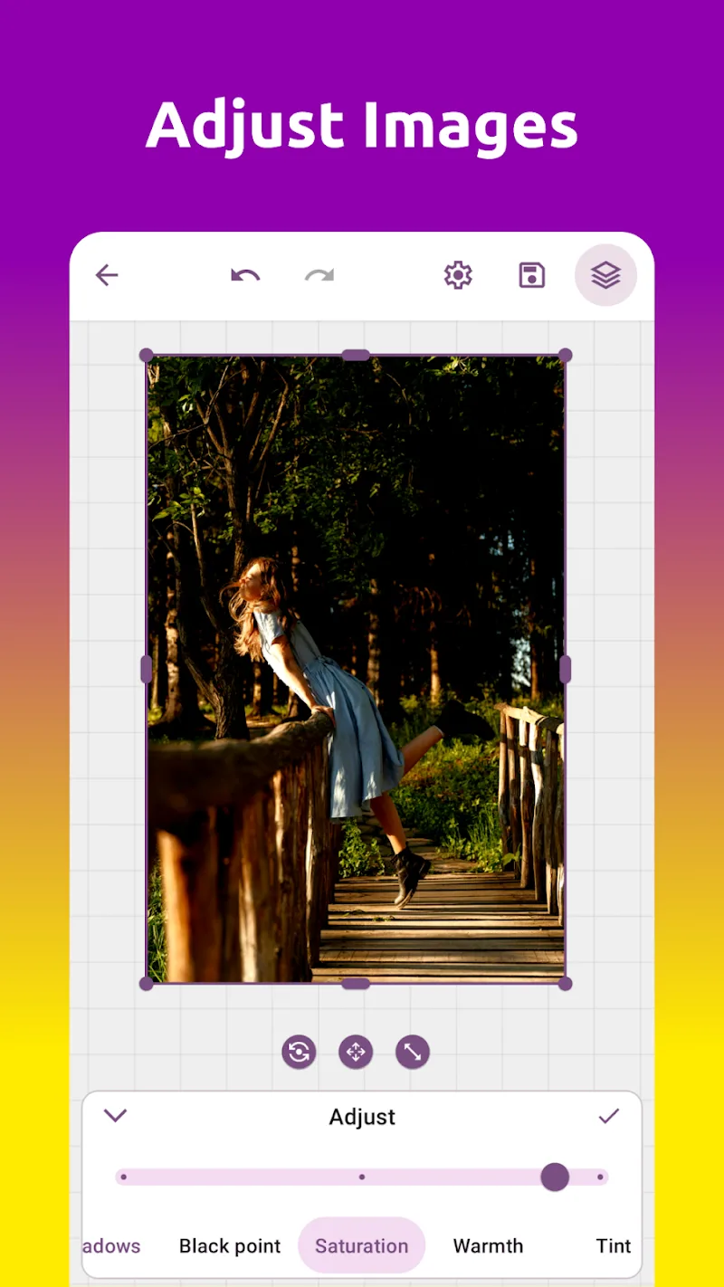 Grafika Vector Image Editor