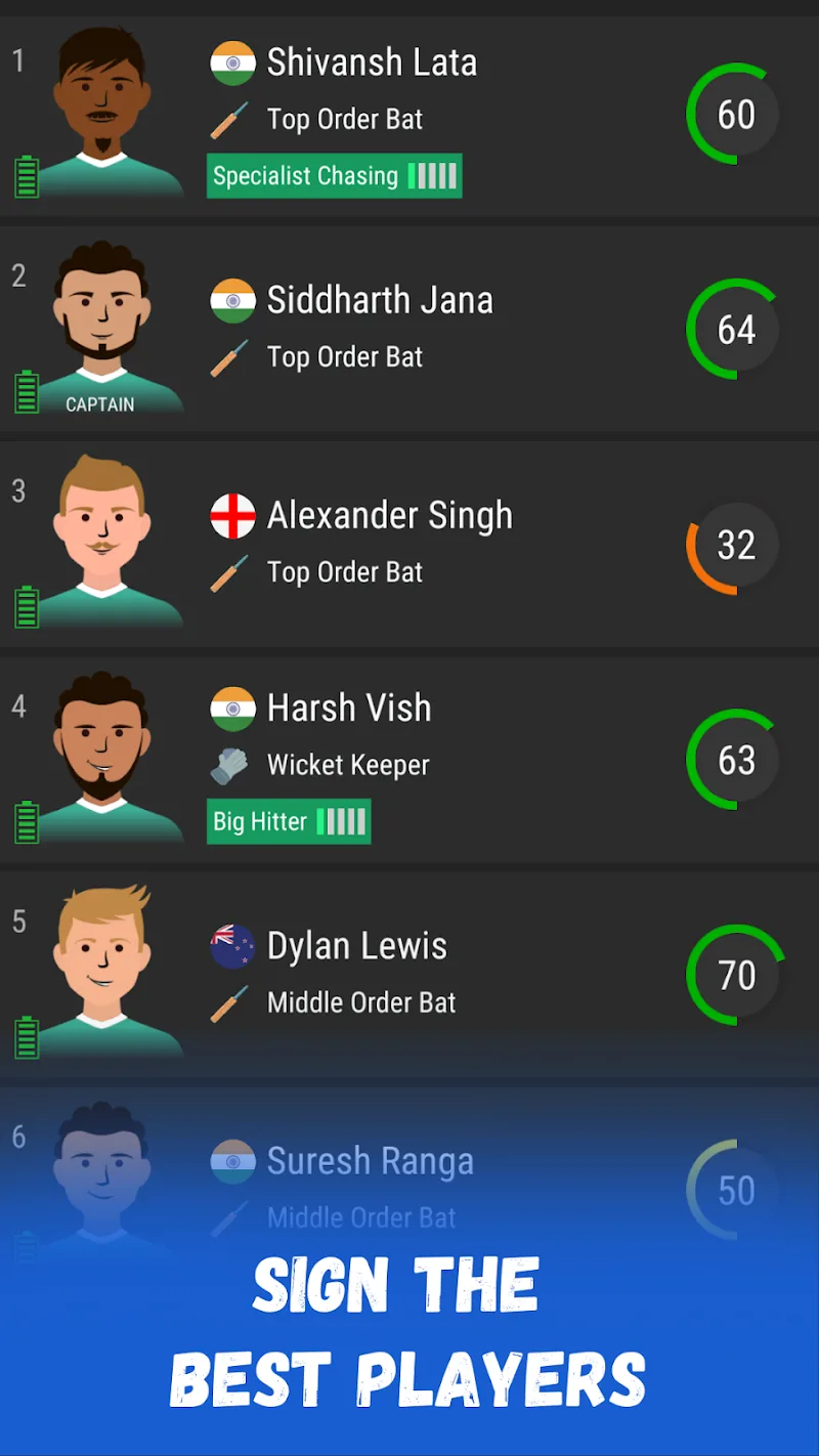 Wicket Cricket Manager