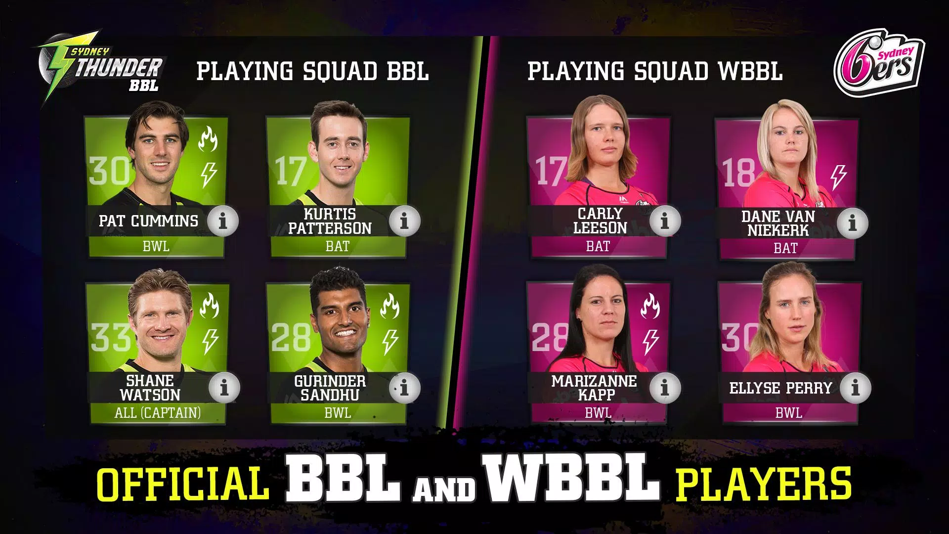 Big Bash Cricket
