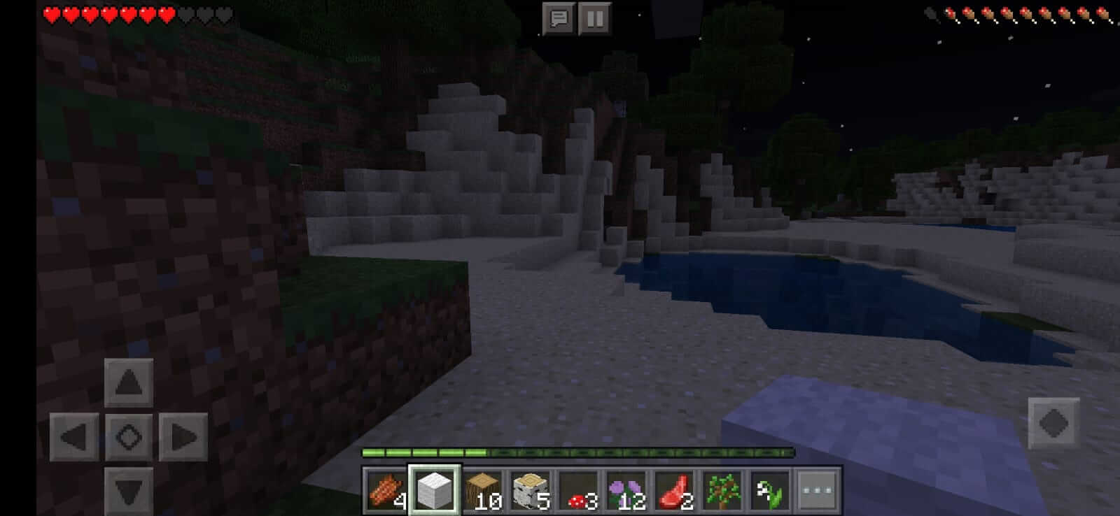 Minecraft Bedrock