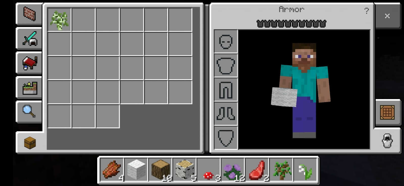 Minecraft Bedrock