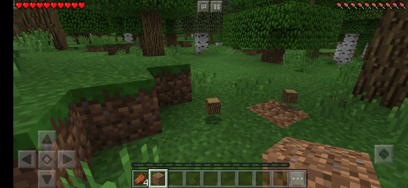 Minecraft Bedrock