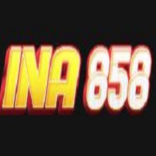 INA858