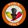 Voice Spice Online Recorder