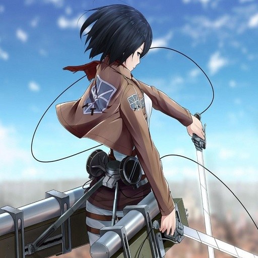Attack on Titan Fan Game