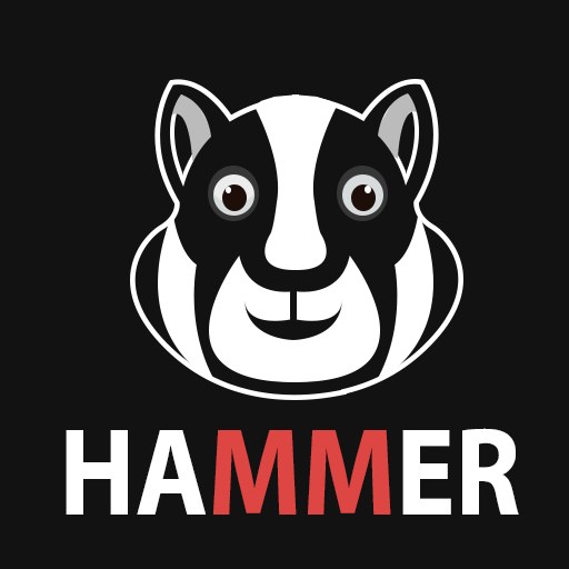 Hamtser VPN