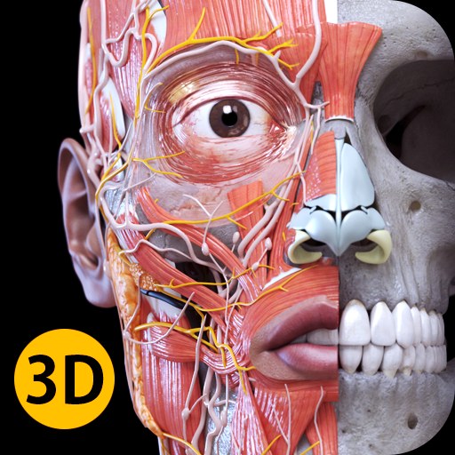 Anatomy 3D Atlas