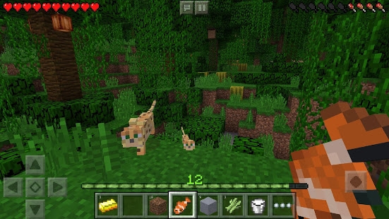 Minecraft Mobile Game
