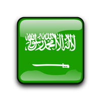 Saudi Arabia VPN Free