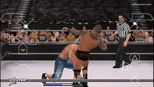 WWE SmackDown Vs. RAW 2011 PSP