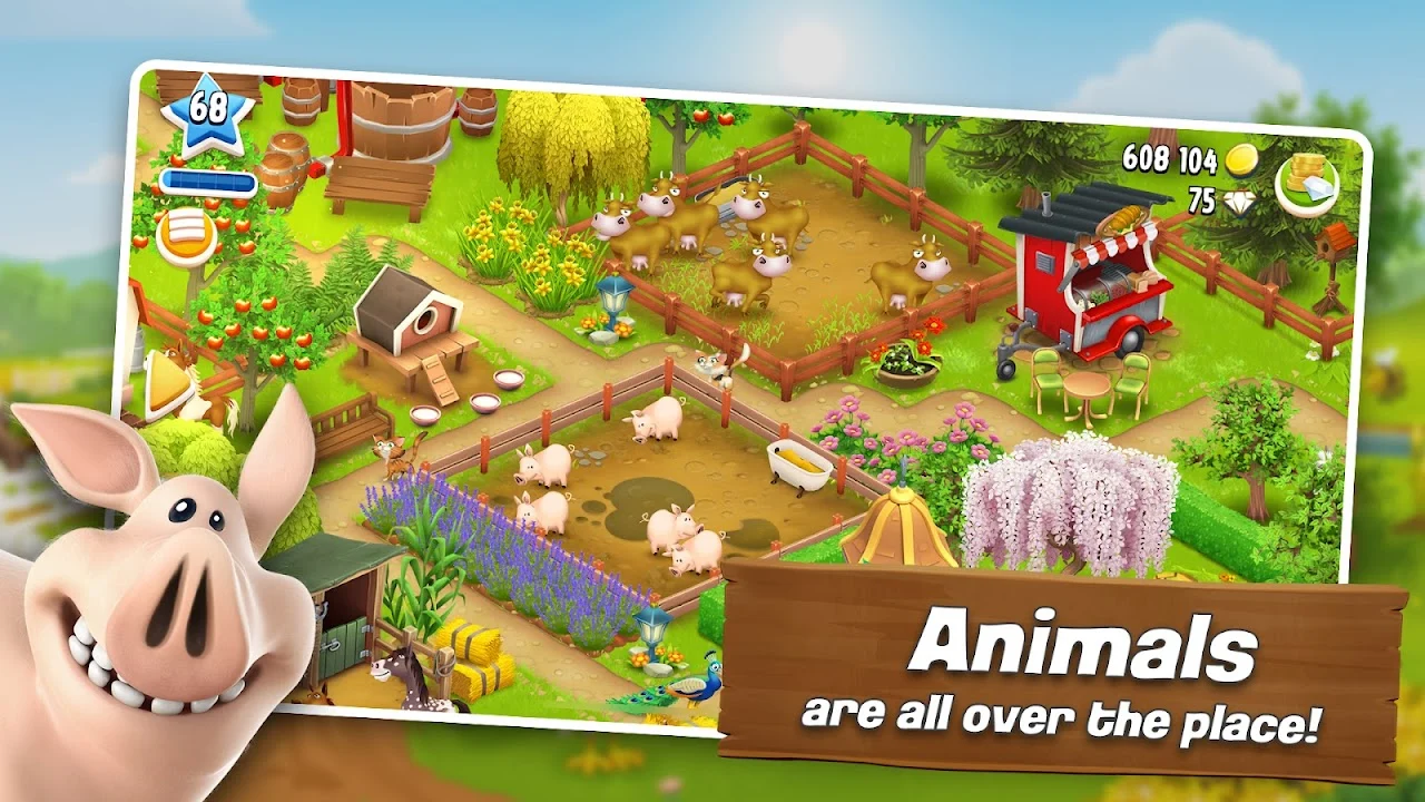Hay Day Hay Day