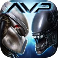 AVP Evolution