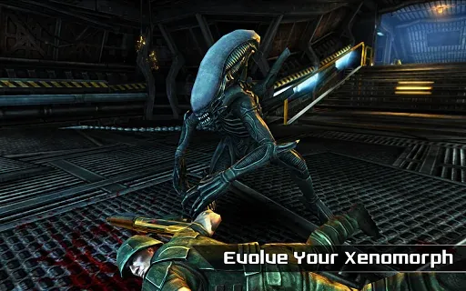 AVP Evolution AVP Evolution