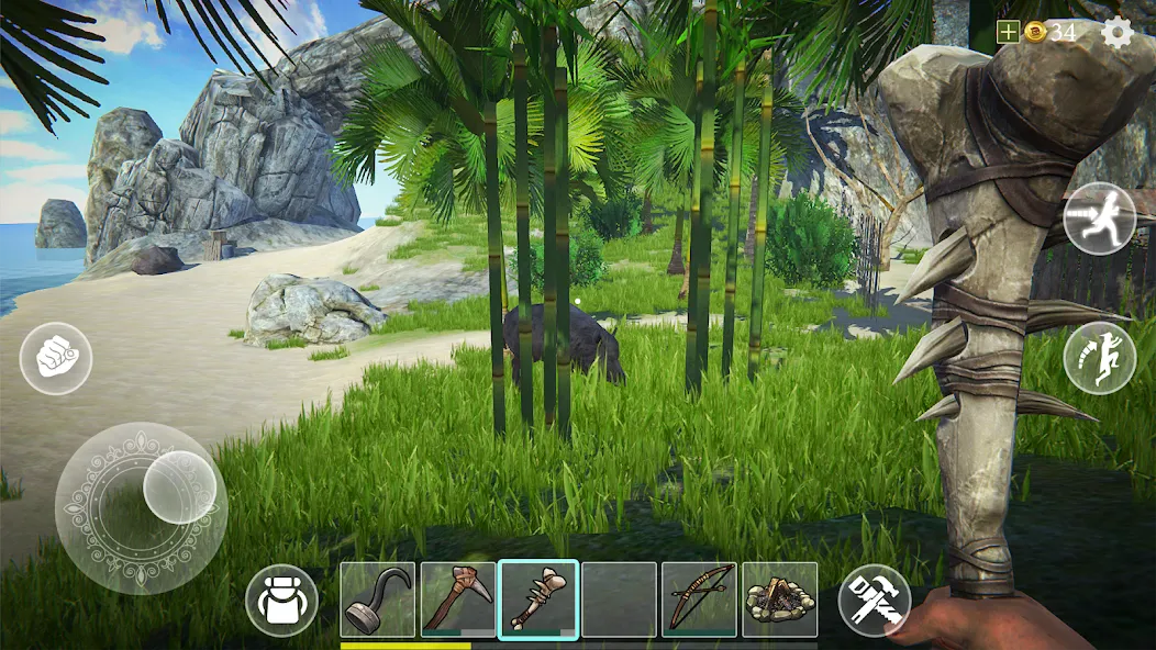 Last Pirate: Island Survival