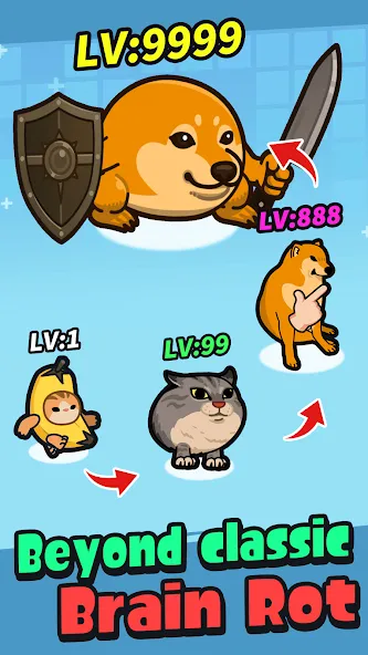 What The Dog Doin': Shield Dog
