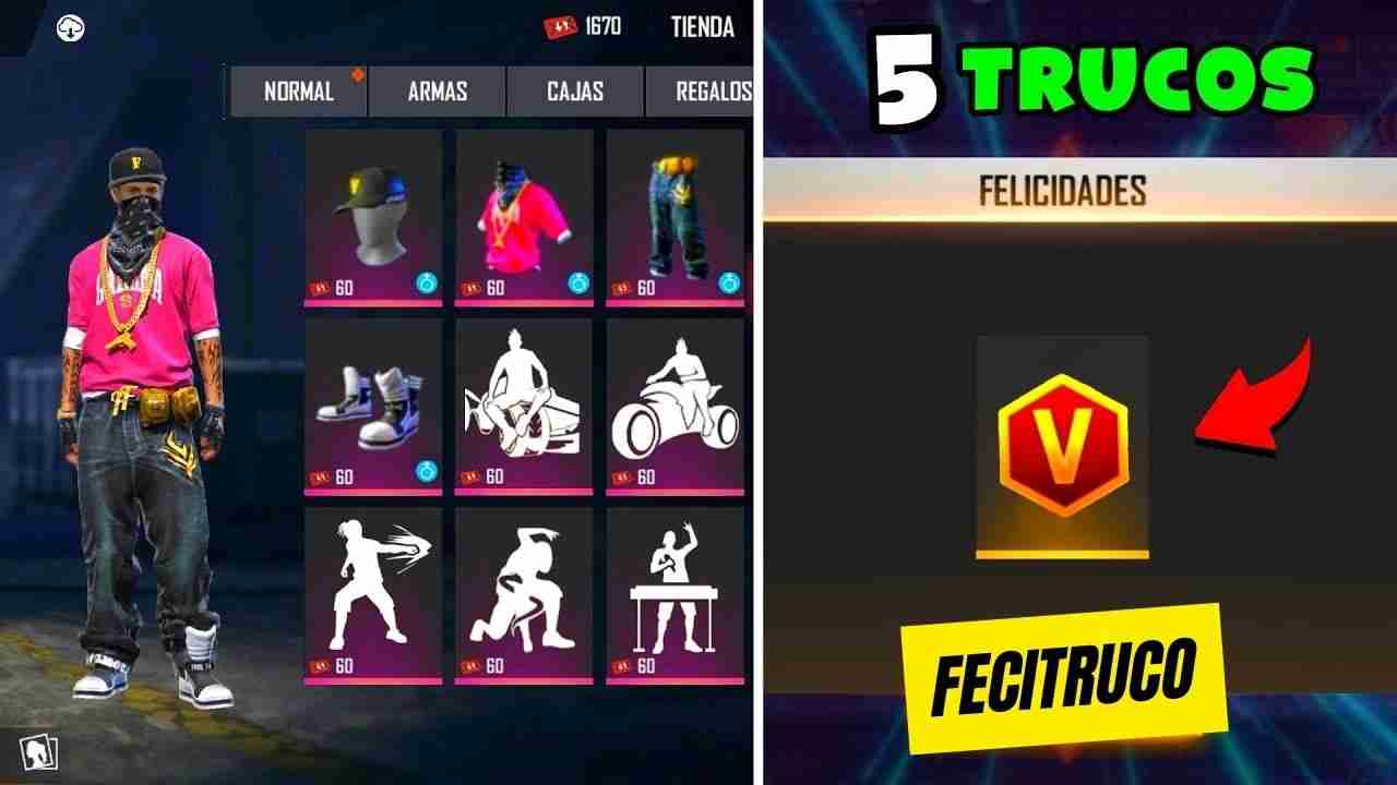 Fecitruco