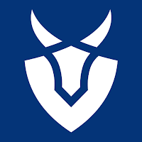 OX VPN