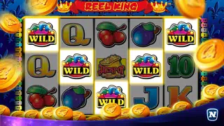 Reel King Megaways Slot