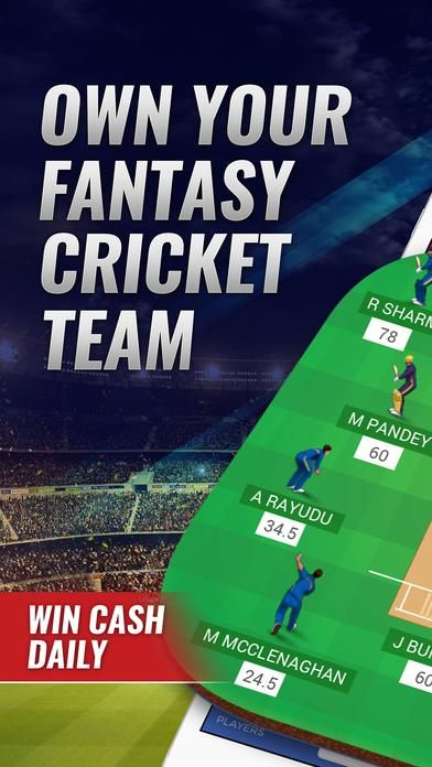 Dream11