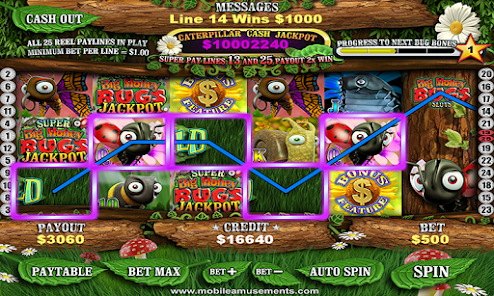 Big Money Bugs Slots Latest