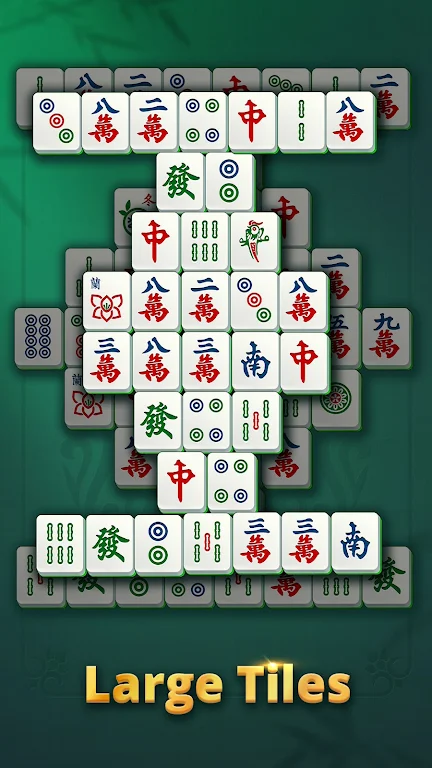 Vita Mahjong for Seniors