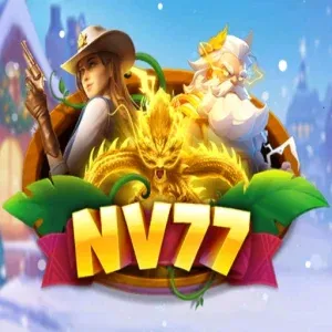 NV77