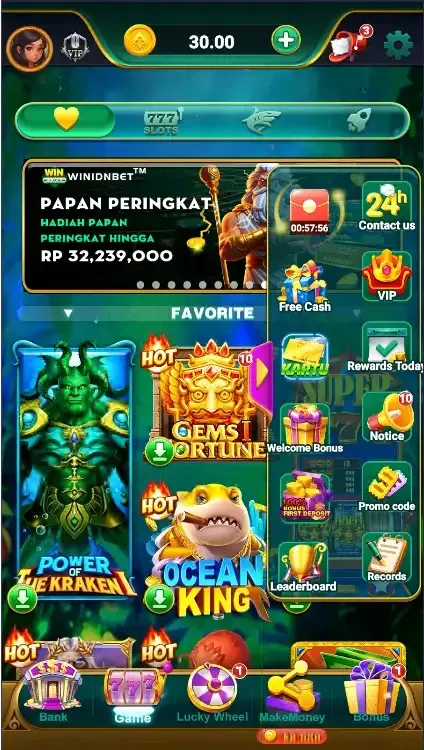 Win IDN