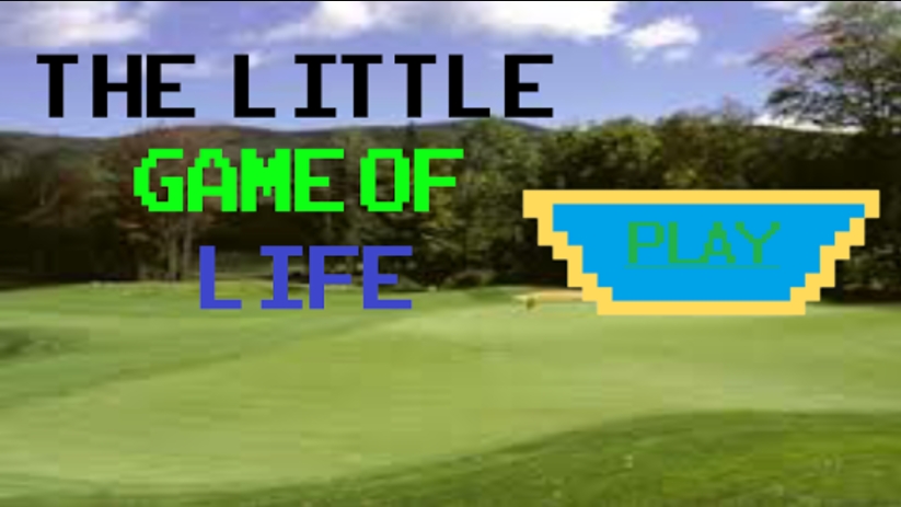 Little Life