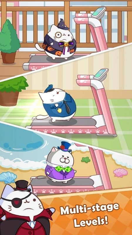 Cat Run – Kitty Rush
