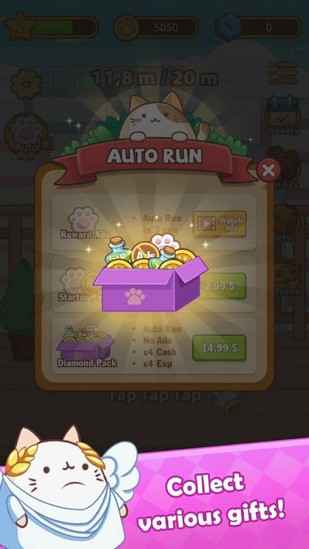 Cat Run – Kitty Rush